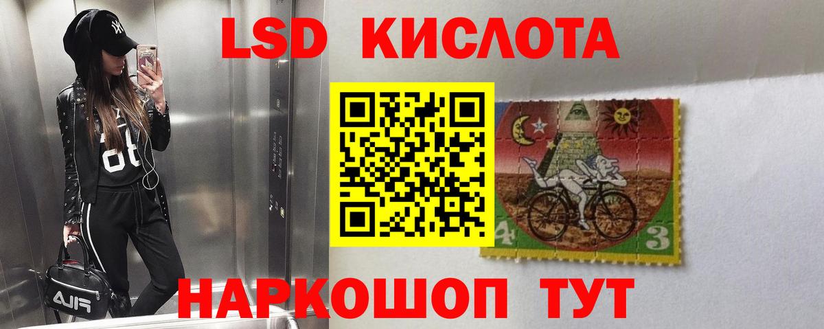 Новозыбков  Лсд 25 экстази ecstasy  LSD-25 экстази  Вход с VPN  LSD-25 экстази ecstasy 