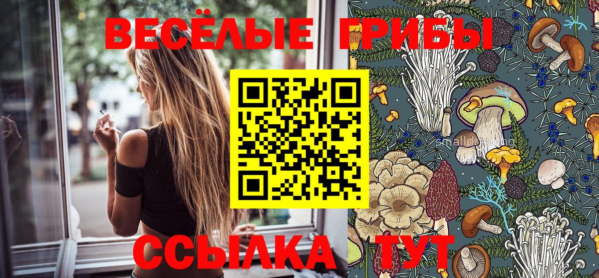 Псилоцибиновые грибы MAGIC MUSHROOMS  Вход с VPN  Новозыбков 